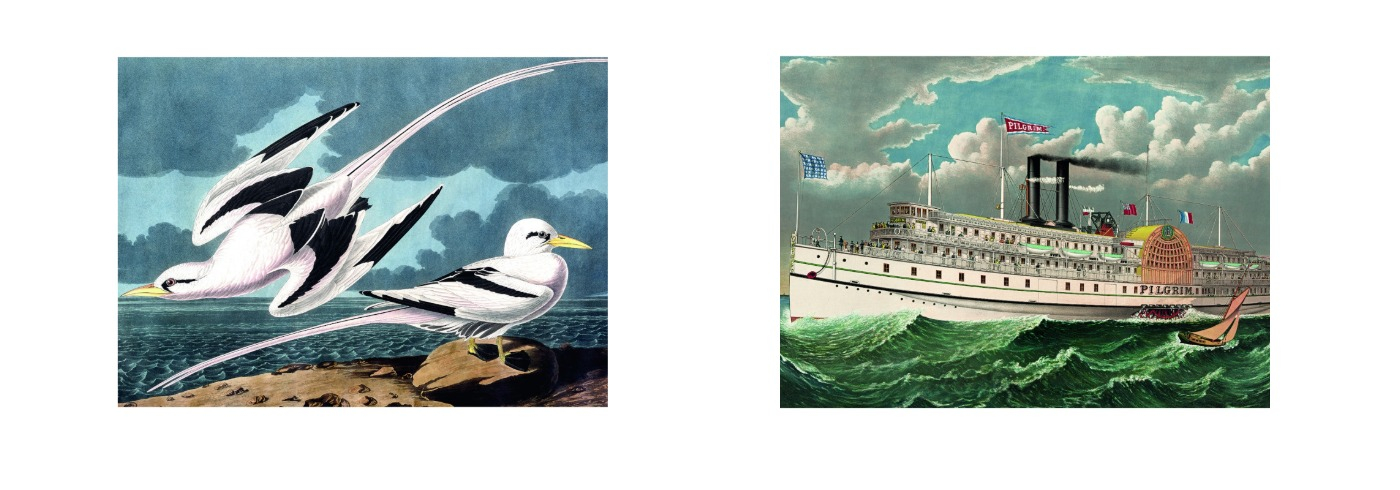 Jetzt lieferbar - neue Puzzles